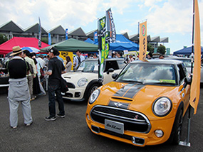 ミニフェス